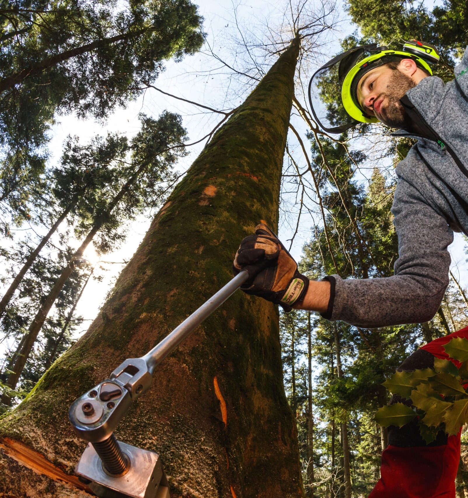 2014：初の機械式伐倒くさび「TR30」誕生